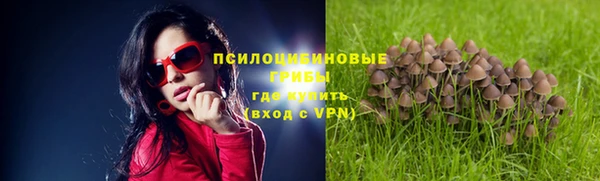 ГАЛЛЮЦИНОГЕННЫЕ ГРИБЫ Лихославль