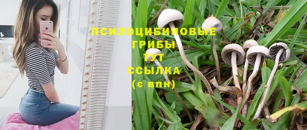 гашик Лиски