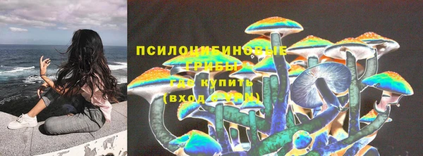 Альфа ПВП Липки