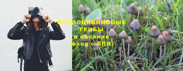 ГАЛЛЮЦИНОГЕННЫЕ ГРИБЫ Лихославль