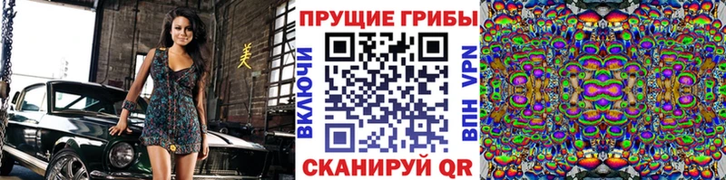 что такое наркотик  Яблоновский  KRAKEN зеркало  Галлюциногенные грибы GOLDEN TEACHER 